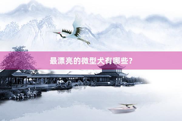 最漂亮的微型犬有哪些?