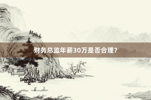财务总监年薪30万是否合理？
